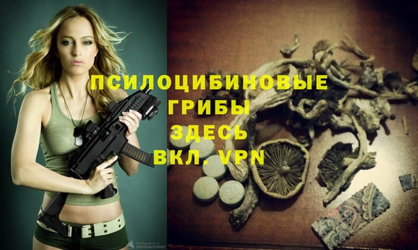 СК Заводоуковск
