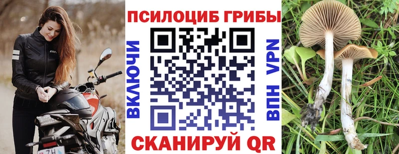 Псилоцибиновые грибы мухоморы  Купить  Оха 
