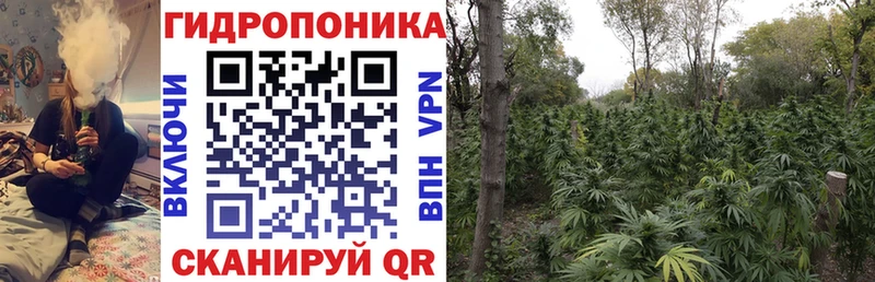 Марихуана планчик  Купить  Оха 